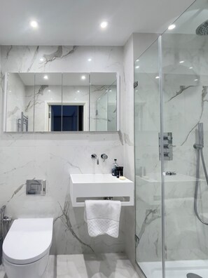 Douche, séchoir à cheveux, serviettes fournies, savon