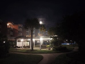 Property grounds - Ocean View! Barefoot Bungalow (Galveston)