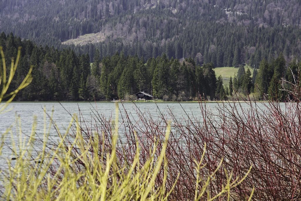 A lake with a house on the shore, surrounded by dense forest and hills.