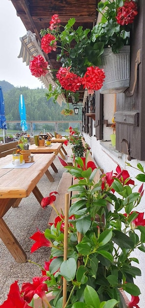 Terrace/patio - Berggasthof Willy Merkl (Schliersee)