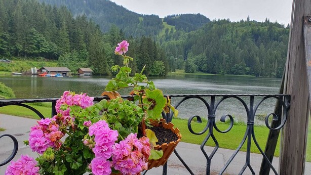 A balcony with a flower pot containing pink flowers, a view of a lake, and houses in the background. - Berggasthof Willy Merkl (Schliersee)