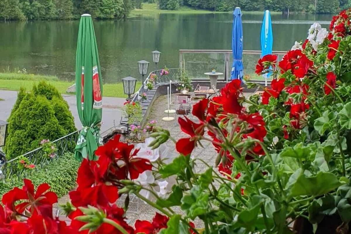 Hypo-allergenic bedding, individually decorated, individually furnished