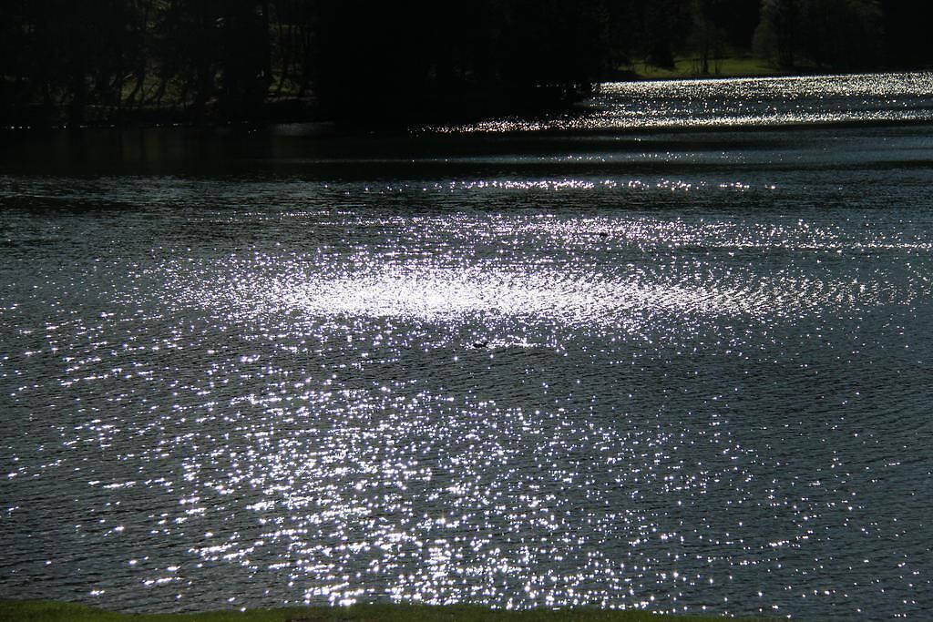 Ein Gewässer spiegelt Licht wider, vor dunklem Hintergrund, ohne sichtbare Gebäude oder Personen.