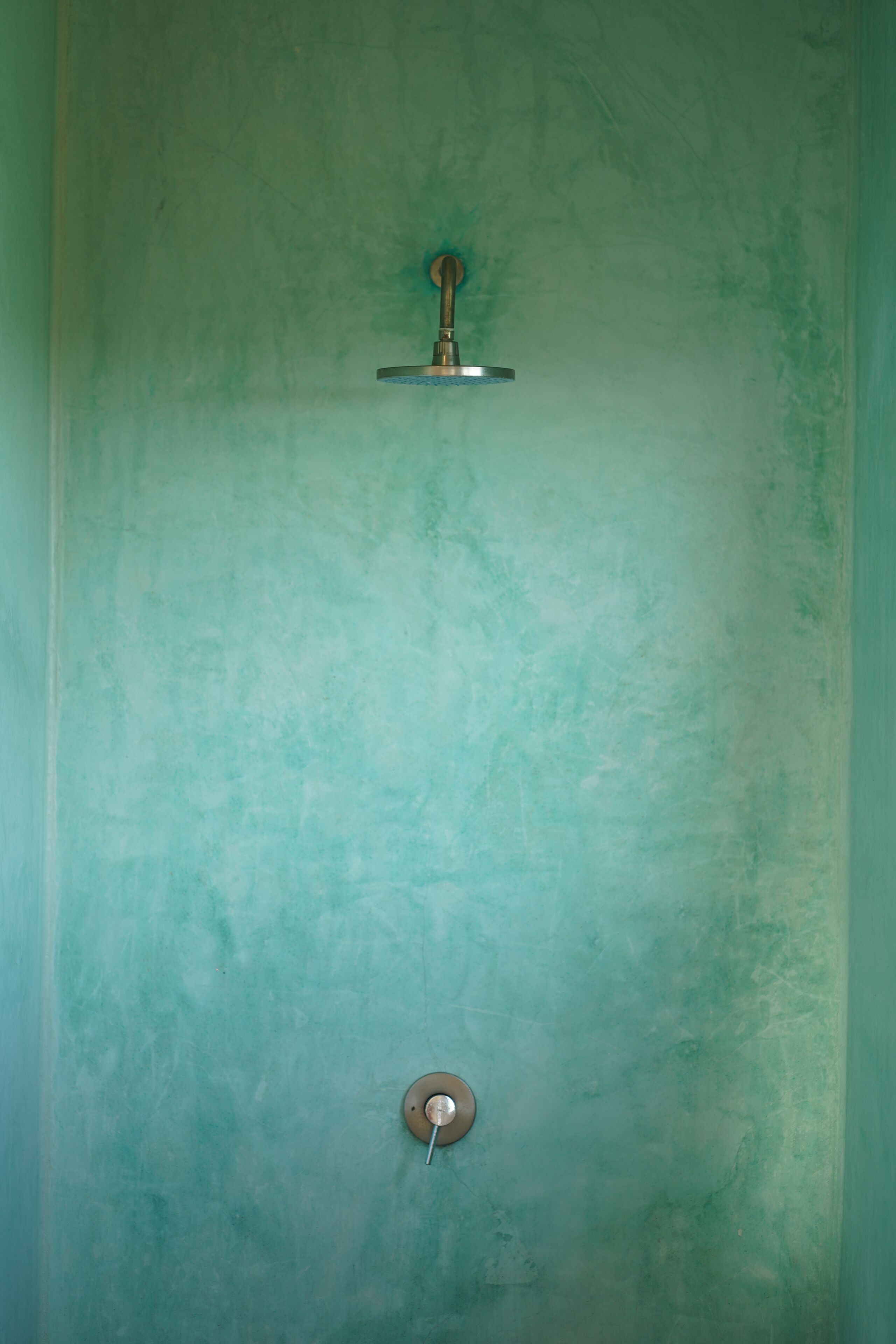 Une salle de bain avec un mur vert, une pomme de douche et un robinet.