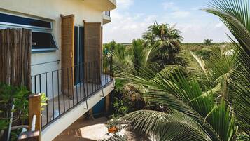 Palm View | View from room