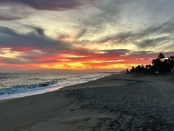 A beach with a sunset, waves, and palm trees.