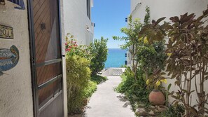A narrow pathway leading to a building with a view of the sea.