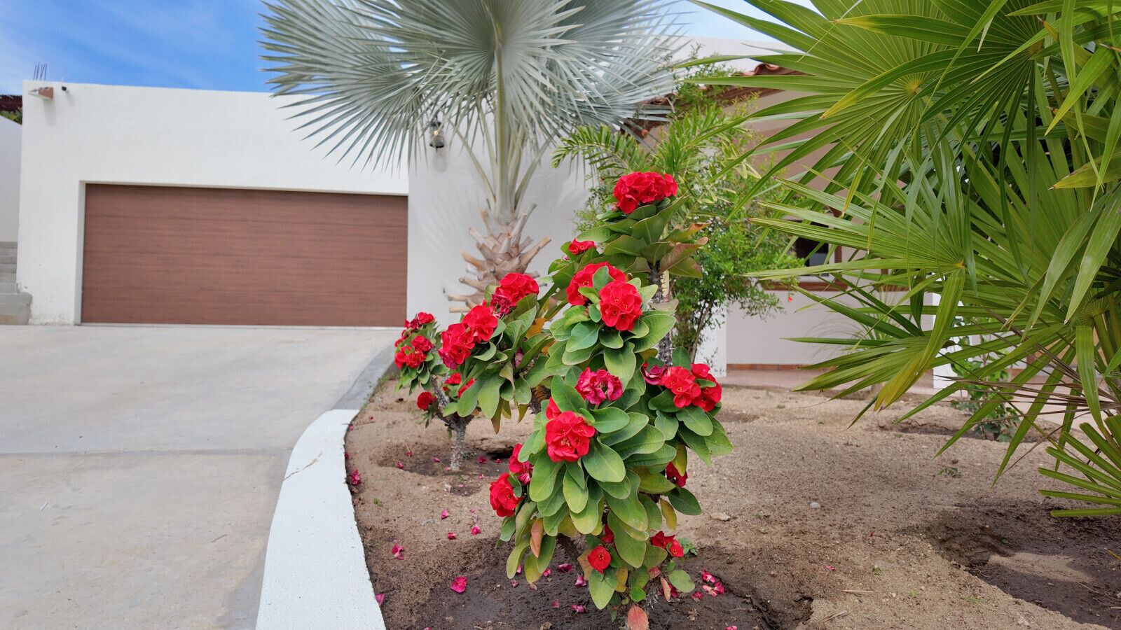 تفاصيل الفندق من الخارج