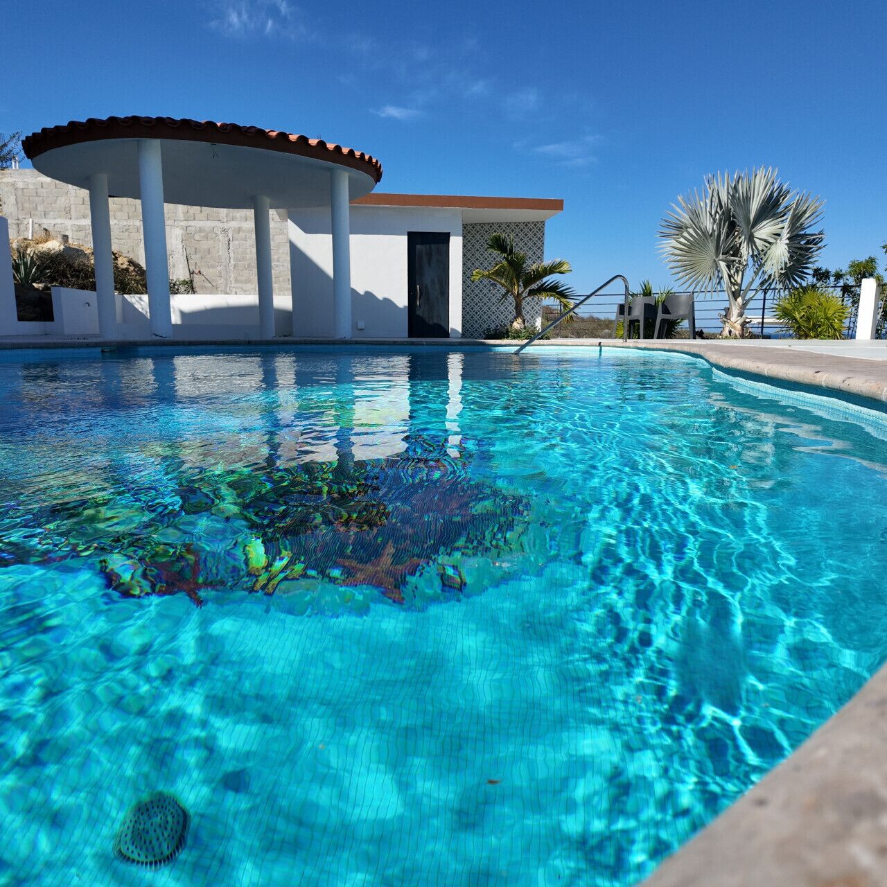 A clear swimming pool with a pavilion structure, palm trees, and a clear blue sky.
