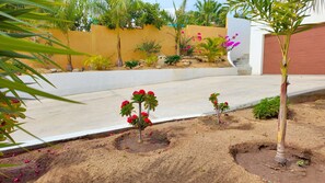 Un jardin aménagé avec de petits arbres et des plantes à fleurs.