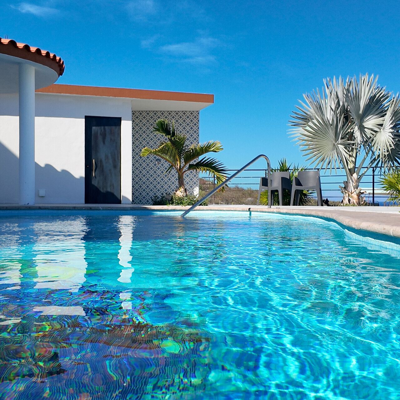 A swimming pool with clear blue water, a palm tree, and a building with a patterned wall and a door.