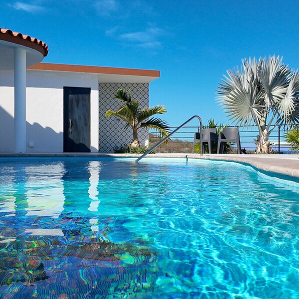 A swimming pool with clear blue water, a palm tree, and a building with a patterned wall and a door.