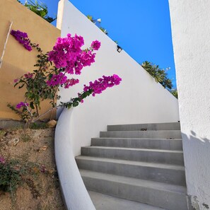 A curved concrete staircase with a white wall on one side and a yellow wall on the other, leading to a higher level.