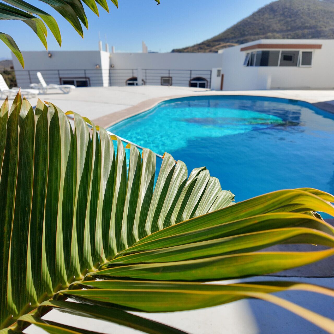 A swimming pool with a clear blue water surface, surrounded by a white building with a flat roof and a mountain in the background.