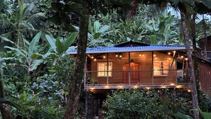 Una cabaña de madera con balcón, rodeada de exuberante follaje y plantas tropicales.