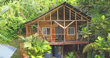 Casa Serenity By The Sea Tree Frog House