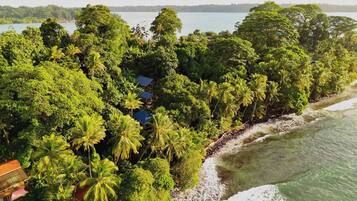 A coastal property with dense tropical vegetation, a beach, and a view of the sea.