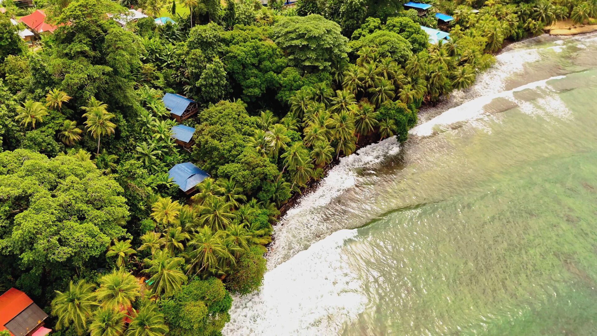 An aerial view of a coastal area with dense greenery and a beach. There are several small structures with blue roofs, likely accommodations, nestled among the trees.