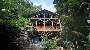 Une structure en bois, dotée d’un toit en pente et entourée d’une végétation luxuriante.
