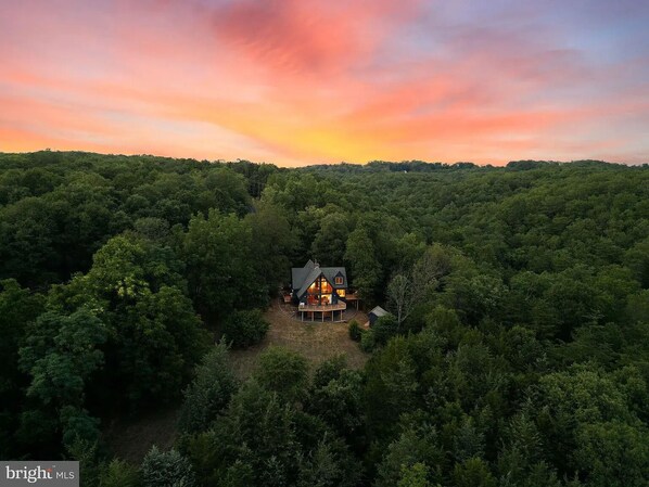 A house surrounded by dense forest with a clear sky.