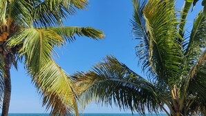 Una playa con palmeras y agua azul cristalina.