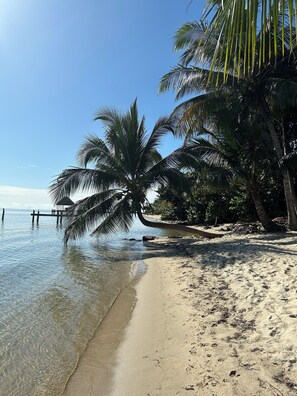 A beach with clear water, palm trees, and a wooden pier. - Soaring Pelican at Palm & Pelican (Stann Creek District)