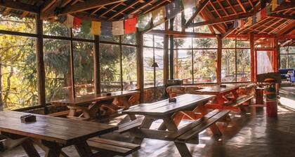 Alive Eco Hut