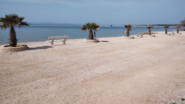 A pebble beach with palm trees and a bench.