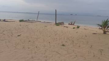 A sandy beach with sparse vegetation and driftwood.