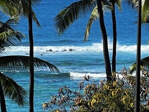 On the beach, sun loungers, beach towels