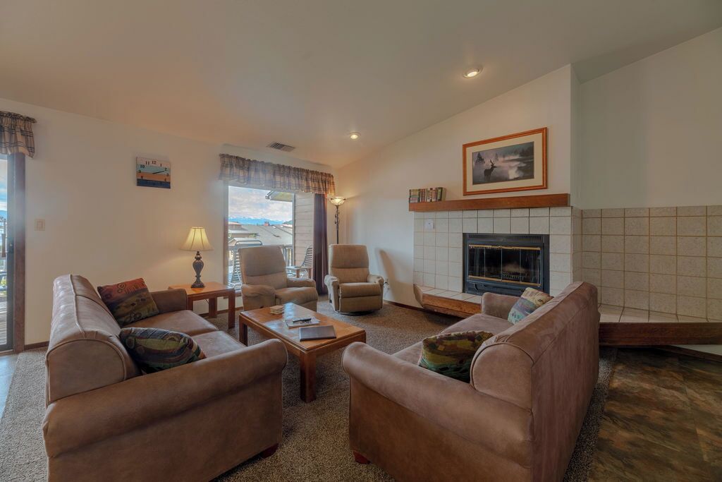 TV, fireplace, video games, DVD player