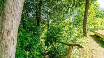 Àrea exterior de l'allotjament