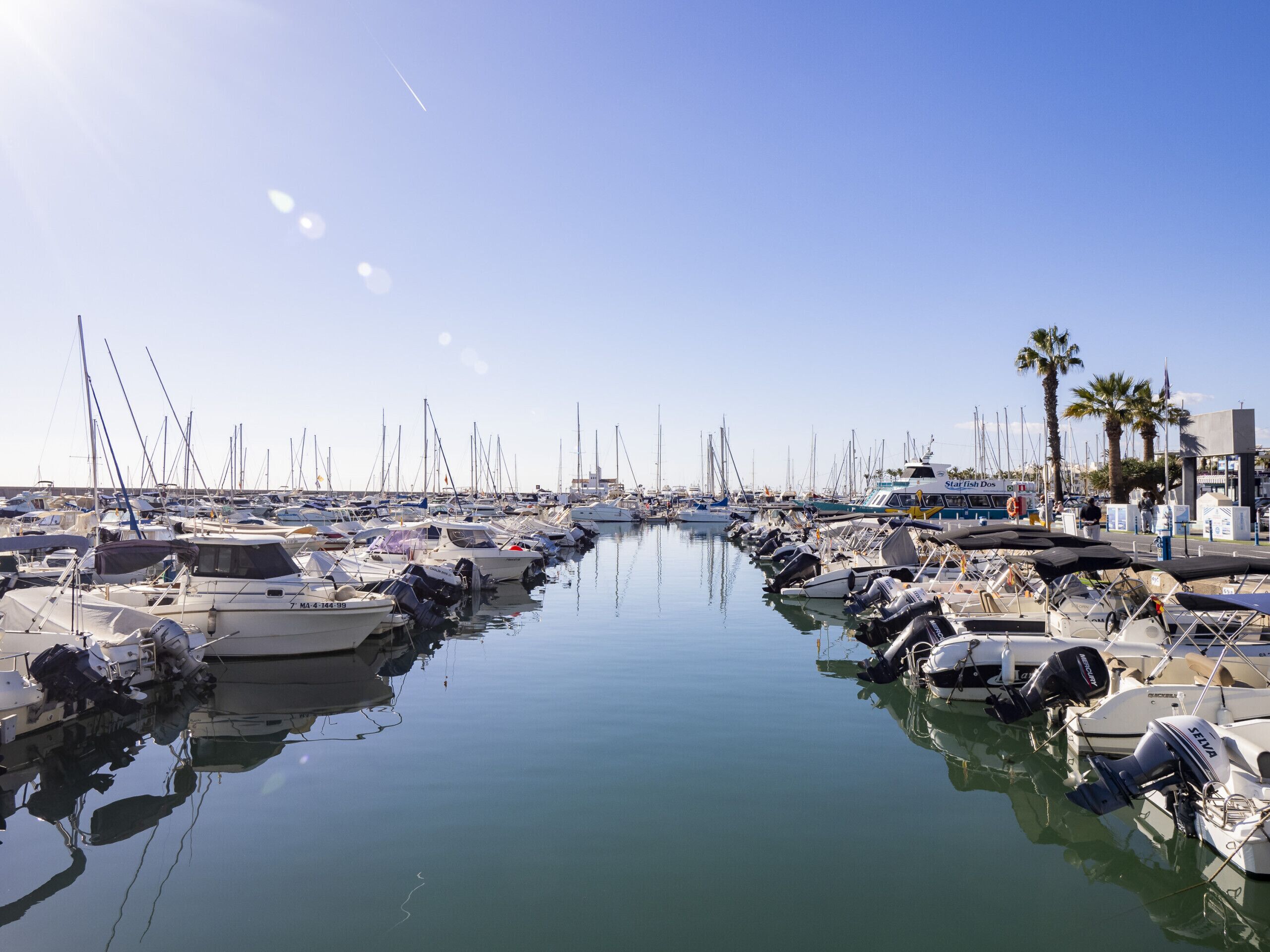 A marina with numerous boats docked, calm water, and a clear sky.
