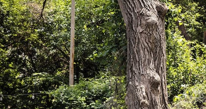 South-O Fairy House
LOCATION LOCATION!