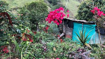 المنطقة المحيطة بالمنشأة