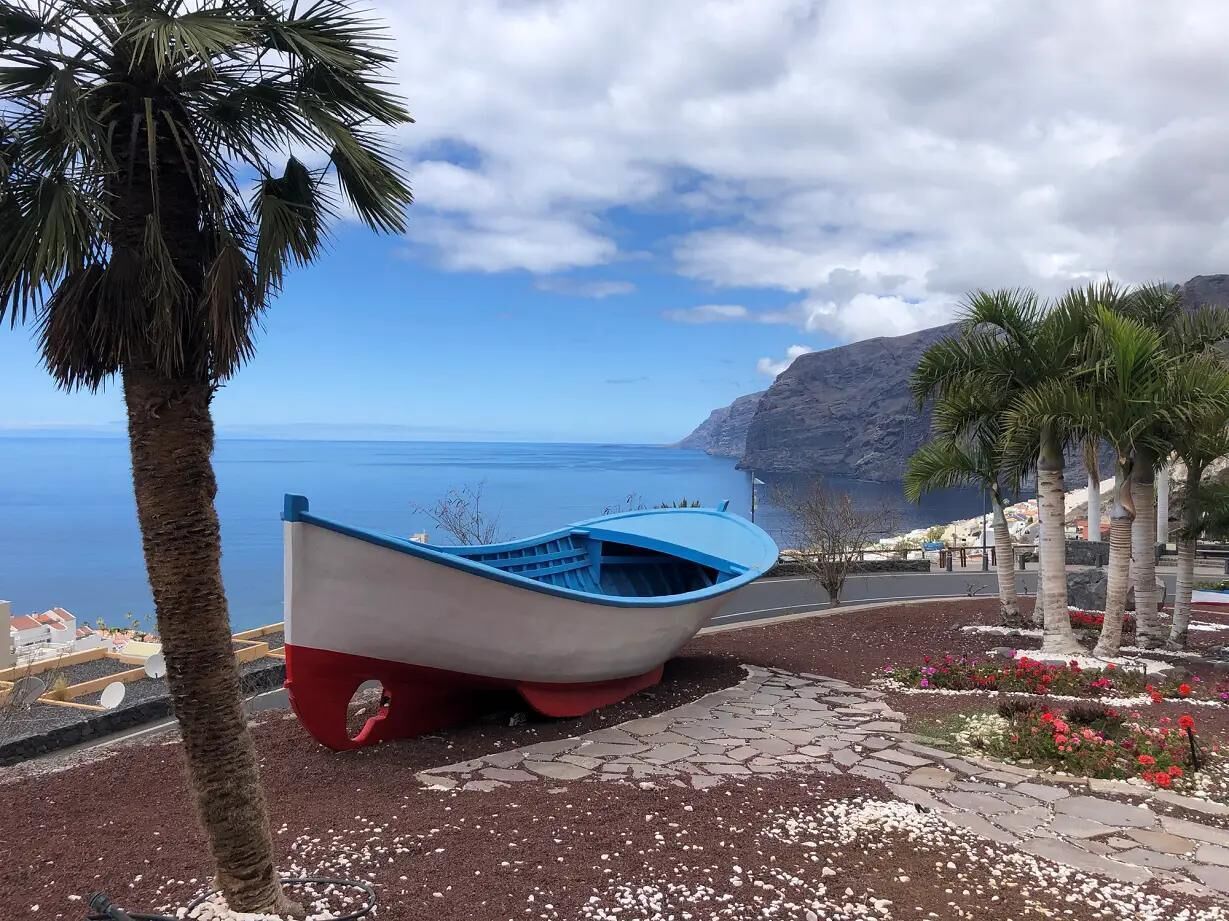 A boat with a blue and white hull, parked on a rocky beach with a palm tree nearby.