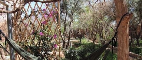 Área da propriedade