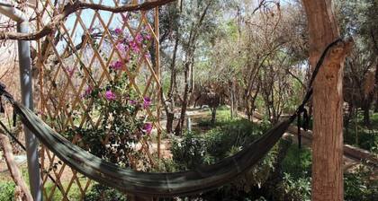 Ecolodge Aroma Dades