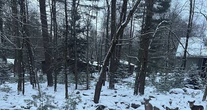 Cozy Cabin in Lake Harmony, 3Bedroom+Loft w Deck, Firepit & WiFi! Dog Friendly!