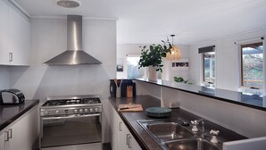 A modern kitchen with stainless steel appliances, a large window, and a hanging plant. - The Cottage at Lake Werona (Werona)