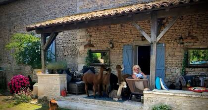 Charming bed & breakfast on an Alpaca Farm in the historic Limalonges Village