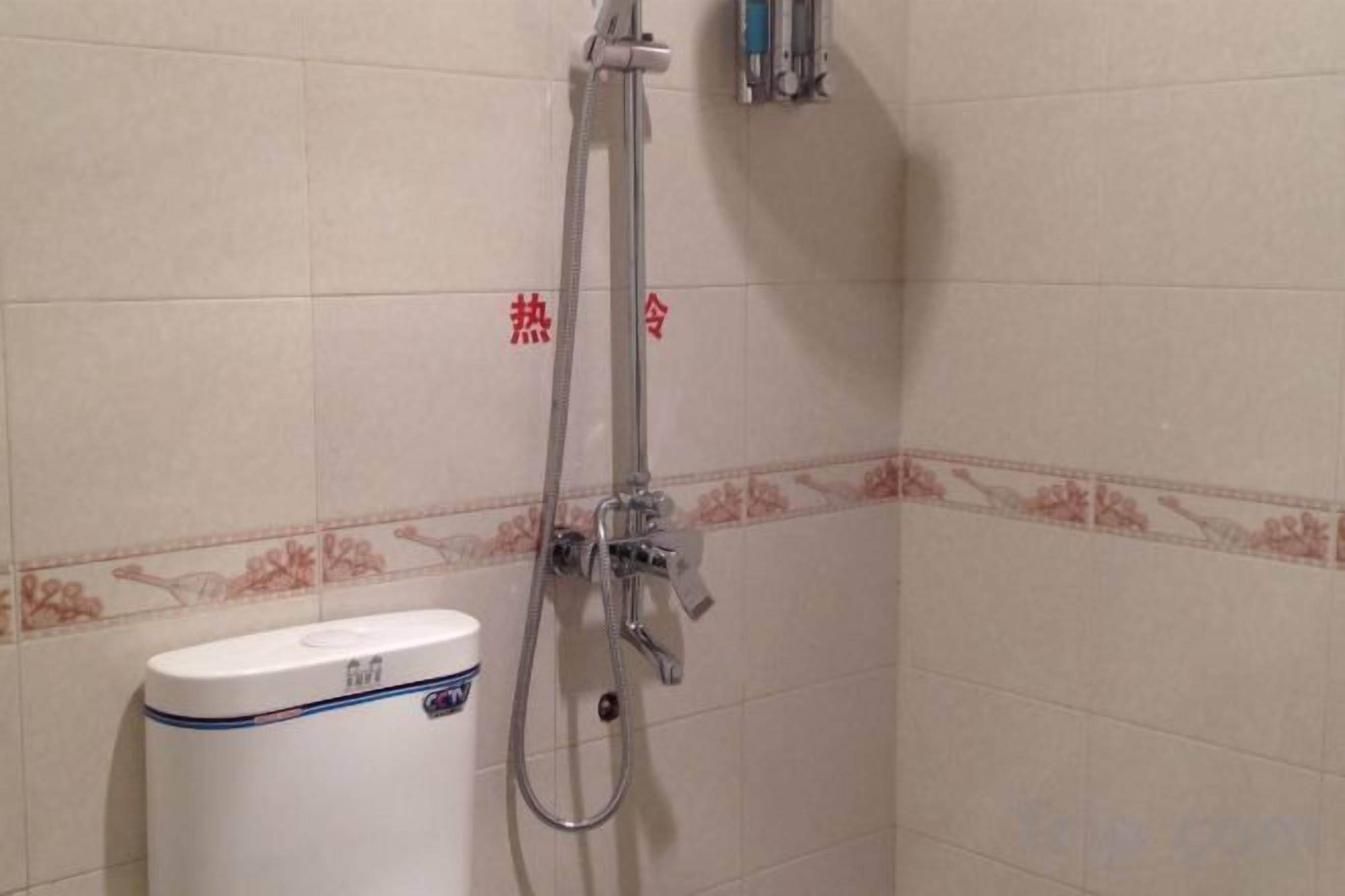 Un área de ducha con cabezal de ducha de mano, grifo empotrado en la pared y un inodoro.