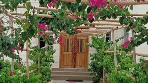 Un sendero conduce a una puerta de madera, bordeado de plantas verdes y flores rosadas.