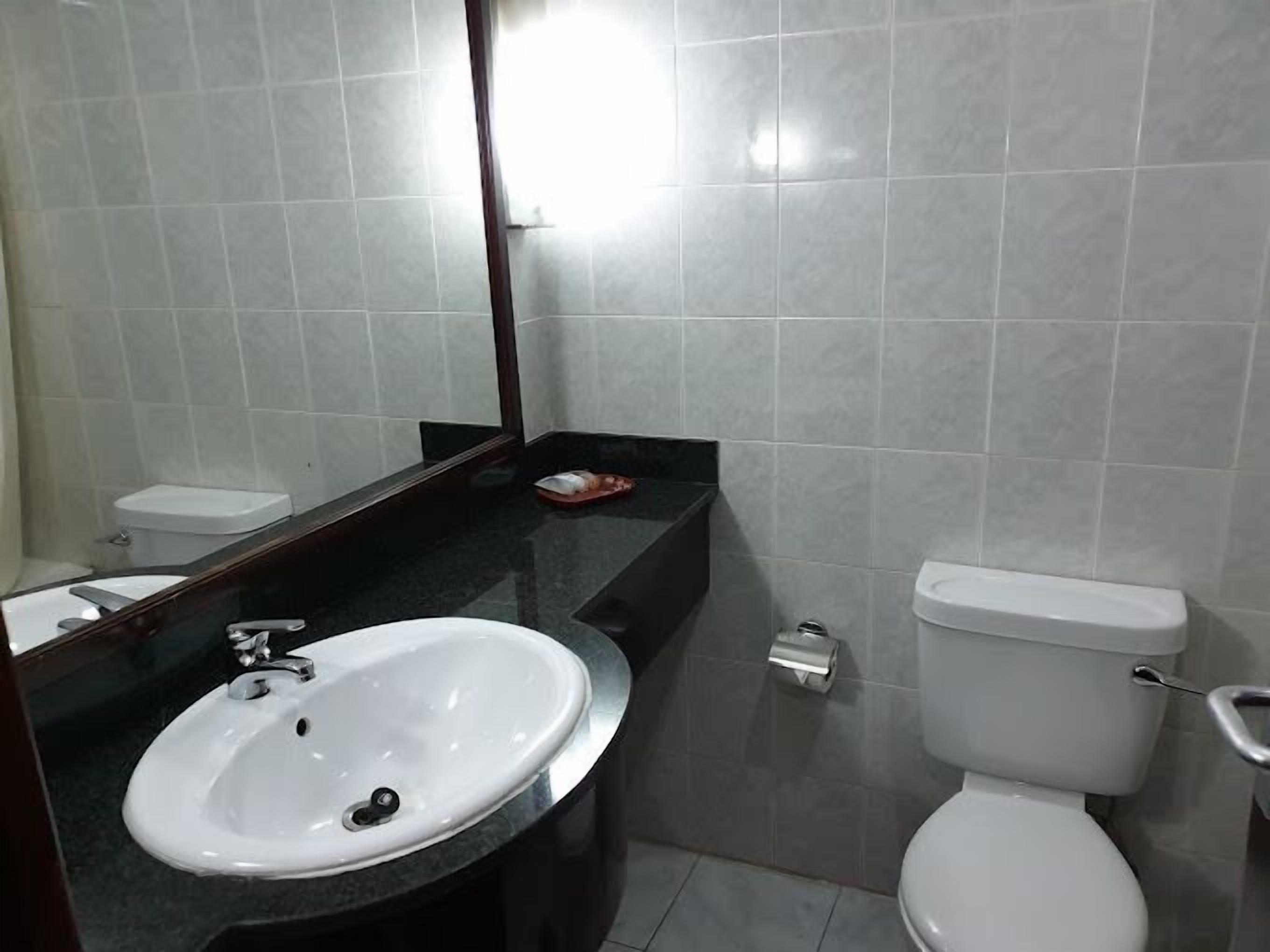 A bathroom with a white sink, a mirror, a toilet, and a small trash bin.
