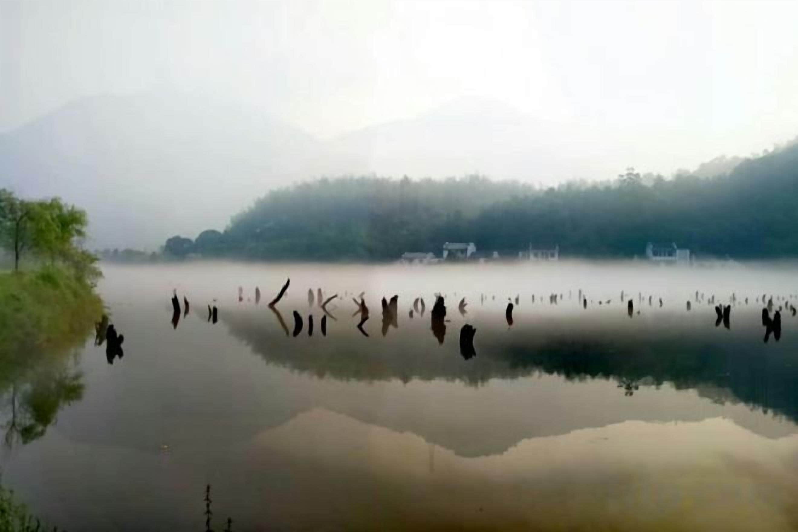 Un lac paisible où se reflètent les arbres, avec une forêt brumeuse en arrière-plan.