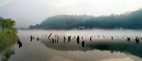 Un lac paisible où se reflètent les arbres, avec une forêt brumeuse en arrière-plan.
