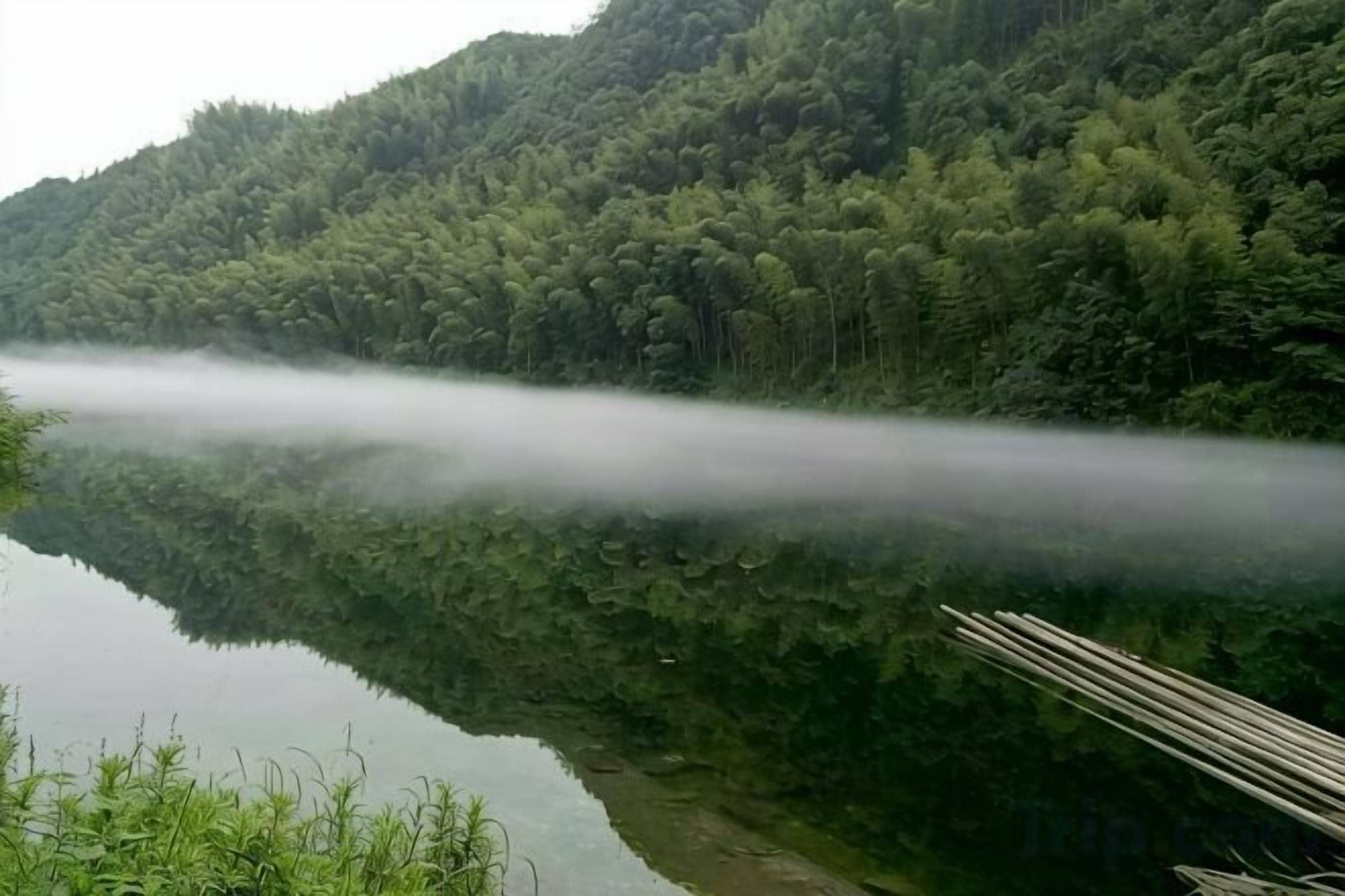 A calm lake with dense forest on the opposite shore.