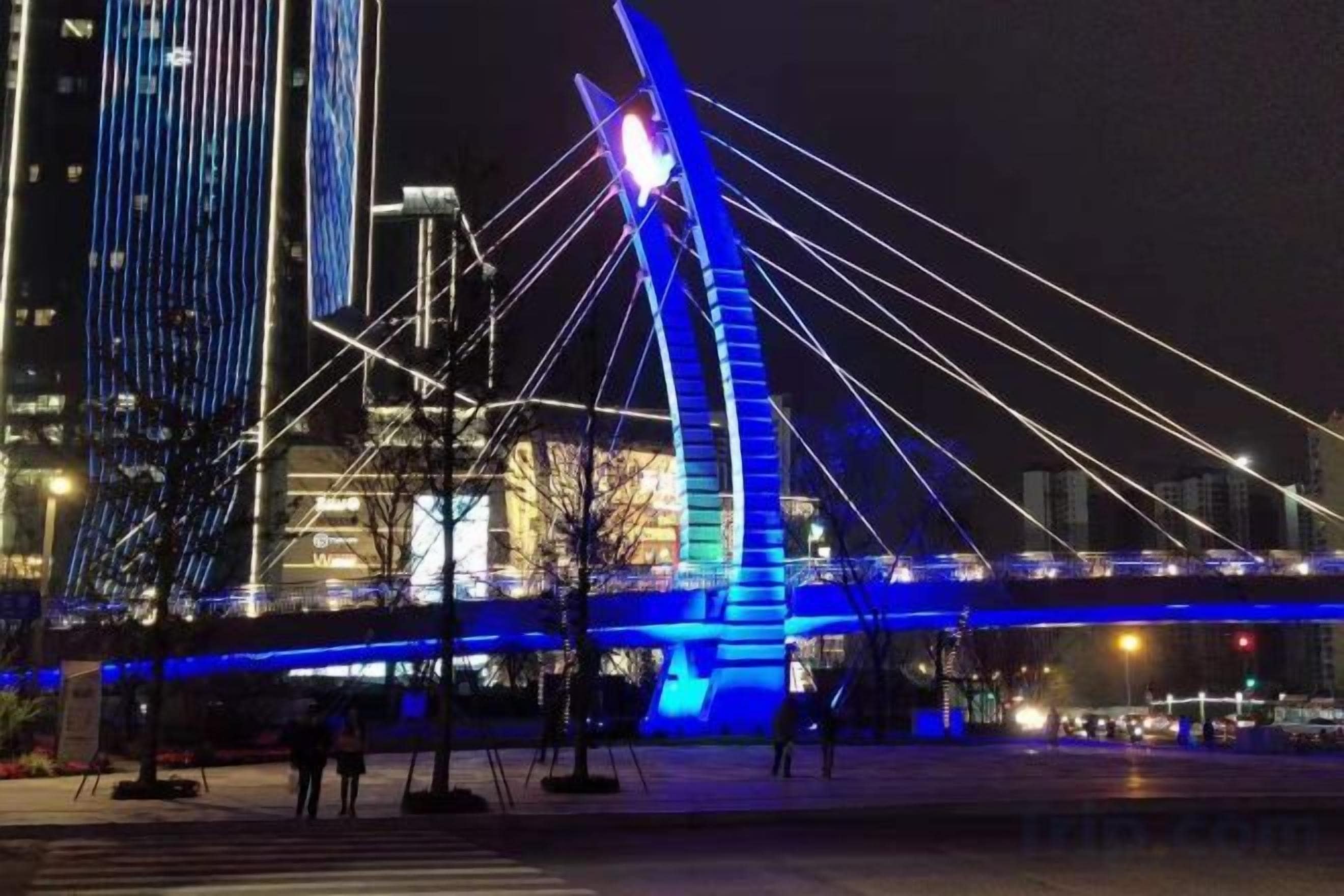 A nighttime view of a bridge with illuminated cables and a modern structure.