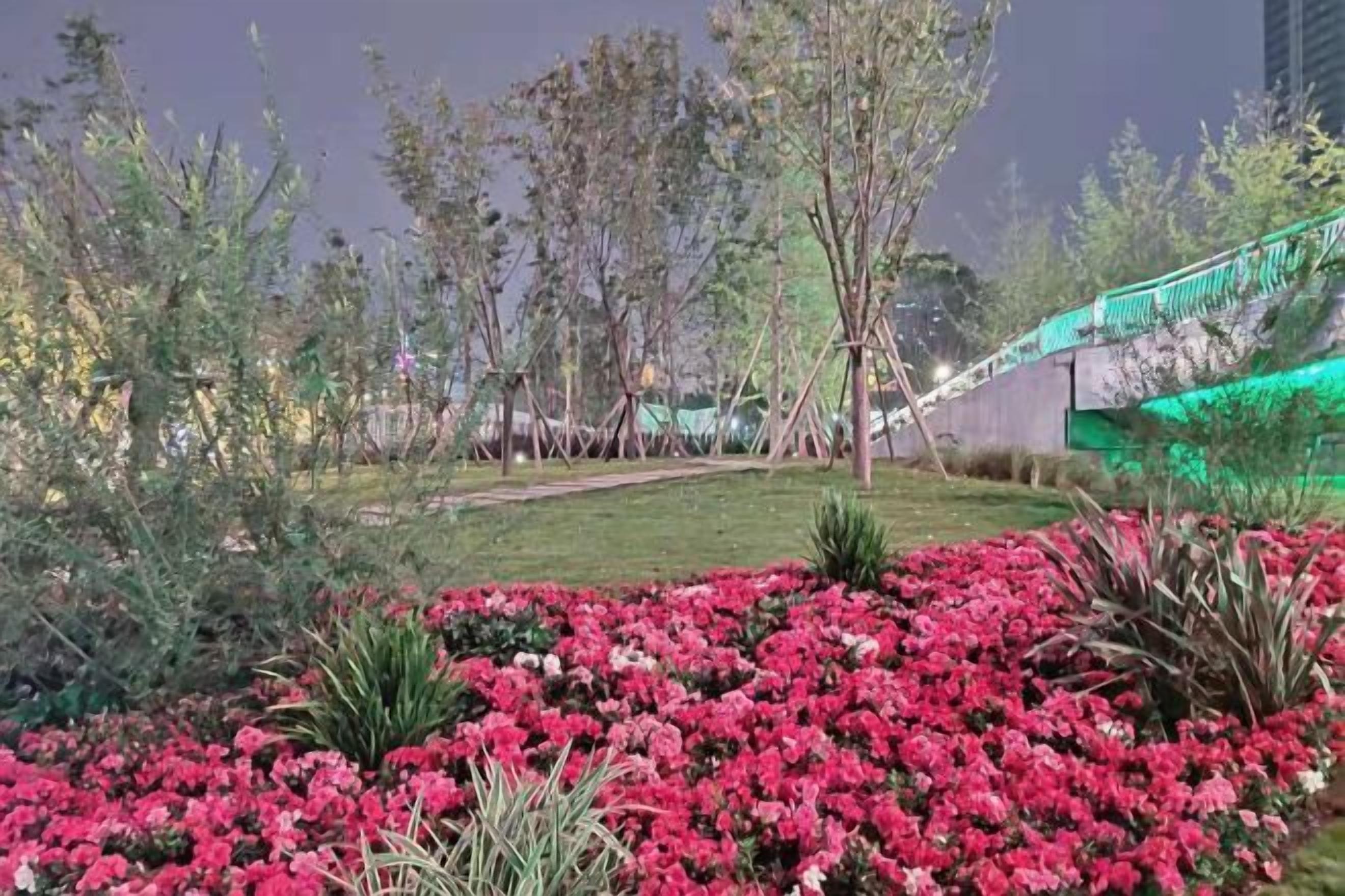 Un jardín arbolado con diversas plantas y flores, un camino y una estructura iluminada en el fondo.