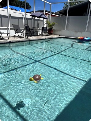 Pool - Welcome to our charming studio, perfectly located near Tampa Bay's attractions. (Tampa)